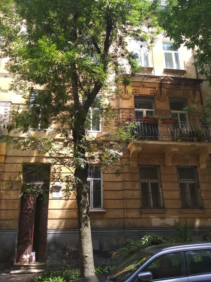 Cosy flat Apartment ลวีฟ ภายนอก รูปภาพ